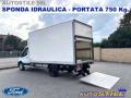 usato IVECO Daily