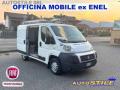usato FIAT Ducato