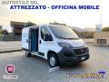 usato FIAT Ducato