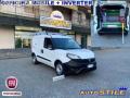 usato FIAT Doblo