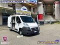usato FIAT Ducato