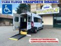 usato FIAT Ducato
