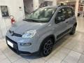 usato FIAT Panda