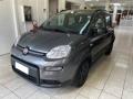 usato FIAT Panda
