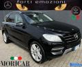 usato MERCEDES ML 250