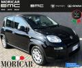 usato FIAT Panda