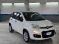 usato FIAT Panda