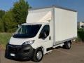 usato FIAT Ducato