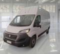 usato FIAT Ducato