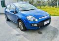 usato FIAT Punto Evo
