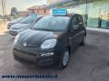 Km 0 FIAT Panda