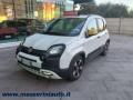 usato FIAT Panda
