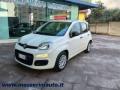 usato FIAT Panda