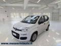 usato FIAT Panda