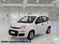 usato FIAT Panda