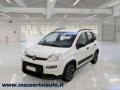 usato FIAT Panda