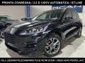 usato FORD Kuga