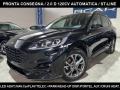 usato FORD Kuga