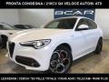 usato ALFA ROMEO Stelvio