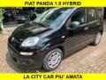 usato FIAT Panda