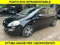 usato FIAT Punto Evo