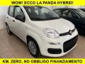 usato FIAT Panda