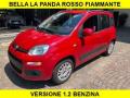 usato FIAT Panda