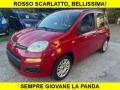 usato FIAT Panda