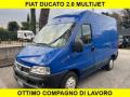 usato FIAT Ducato