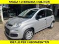 usato FIAT Panda
