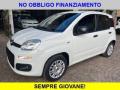 usato FIAT Panda