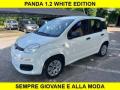 usato FIAT Panda