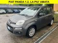 usato FIAT Panda