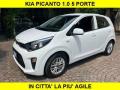 usato KIA Picanto