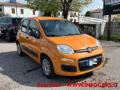 usato FIAT Panda