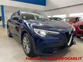 usato ALFA ROMEO Stelvio