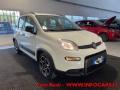 usato FIAT Panda