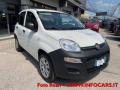 usato FIAT Panda