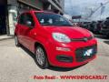usato FIAT Panda