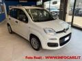 usato FIAT Panda