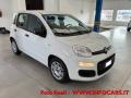 usato FIAT Panda