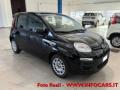 usato FIAT Panda