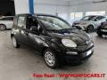 usato FIAT Panda