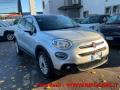 usato FIAT 500X