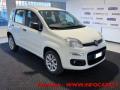 usato FIAT Panda