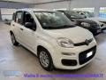 usato FIAT Panda