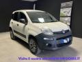 usato FIAT Panda