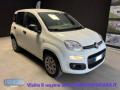 usato FIAT Panda