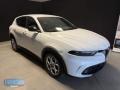 usato ALFA ROMEO Tonale