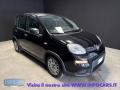 usato FIAT Panda